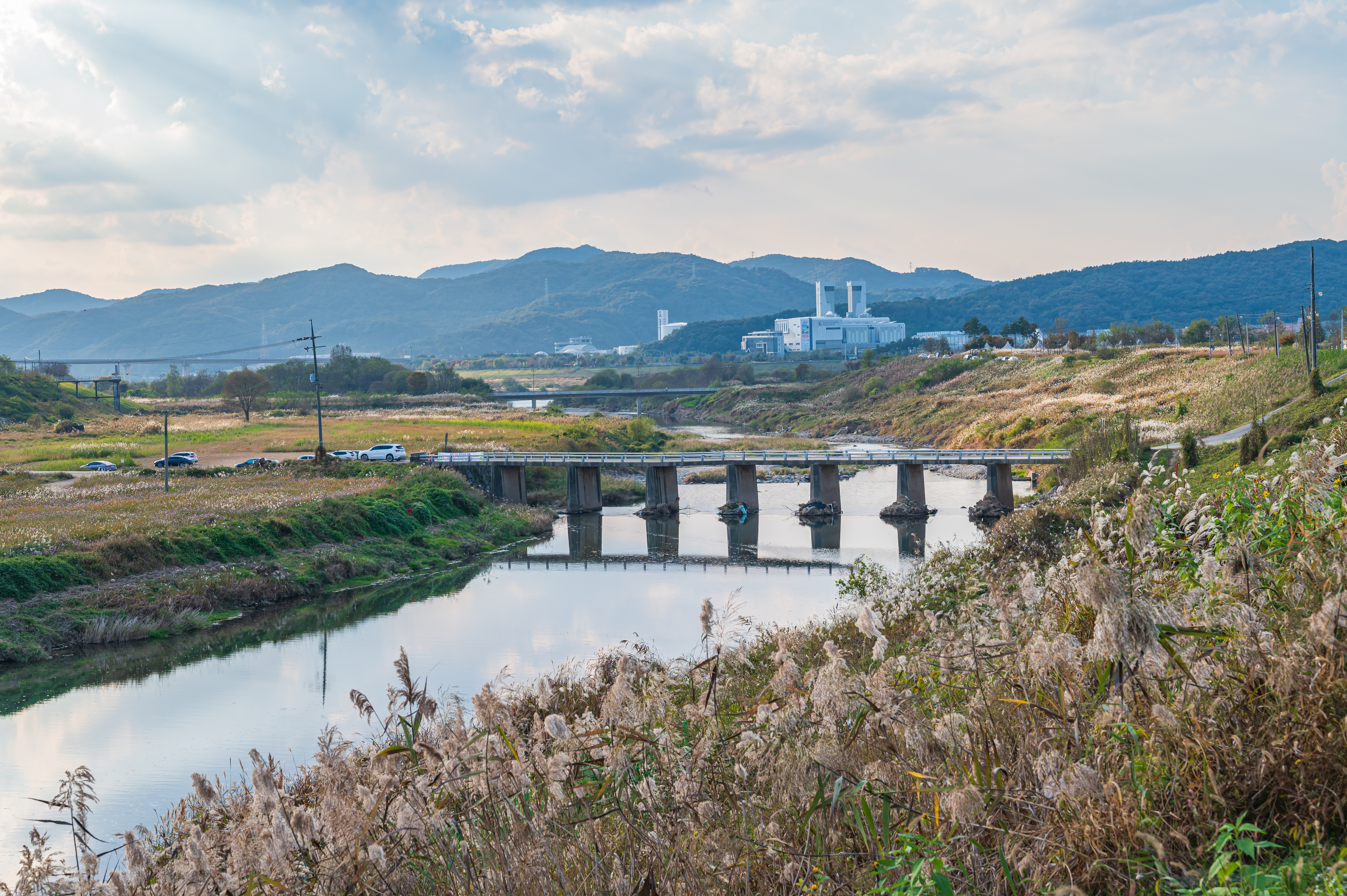 ์ฝ์ค๋ชจ์ค ๋ง๊ฐ '์ธ์ข
์ฒ๋ฐ๊ทผ๋ฆฐ๊ณต์'