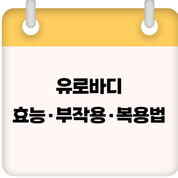유로바디 효능·부작용·복용법 총정리 ❘ 가격 &amp; 후기