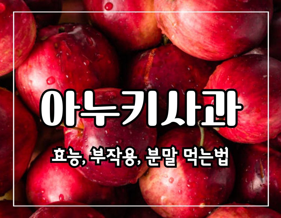 이 이미지는 이누카사과 효능 및 분말 먹는법 및 부작용에 관한 포스팅의 대표이미지입니다.
