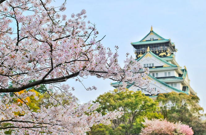 일본 여행지 추천