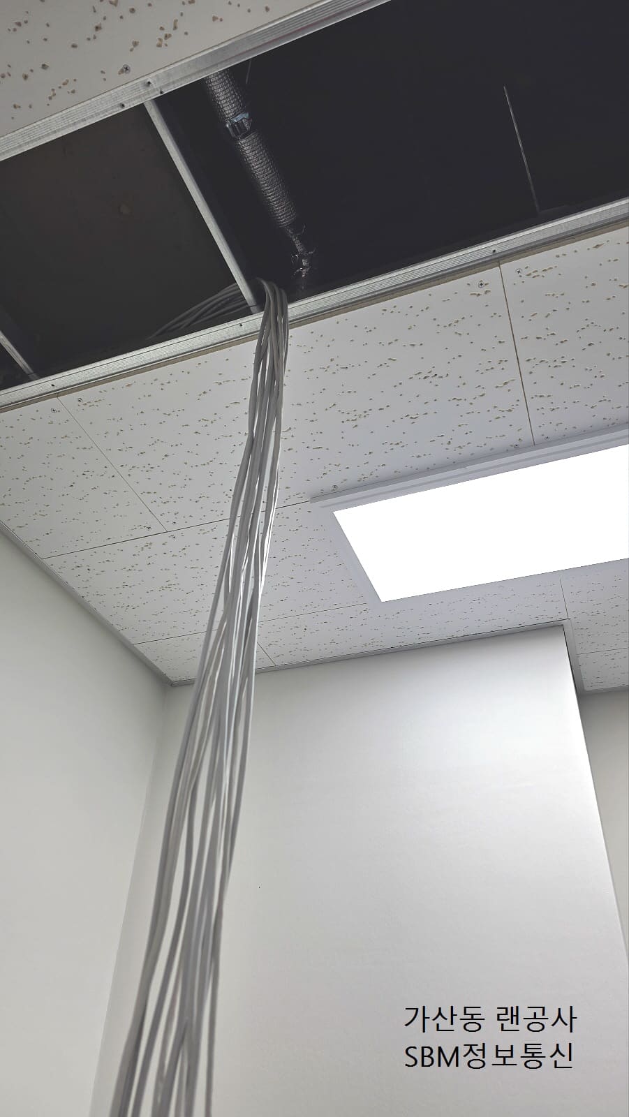 ▲ 정확한 포인트로 낙하된 랜선들. 이제 이 선들이 각 책상으로 뻗어나갑니다.