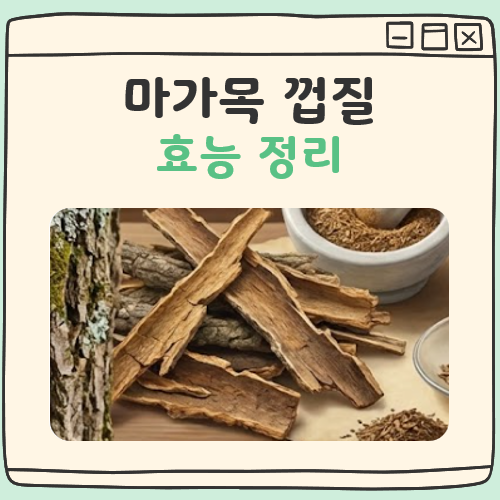 마가목 껍질 효능 대표 이미지