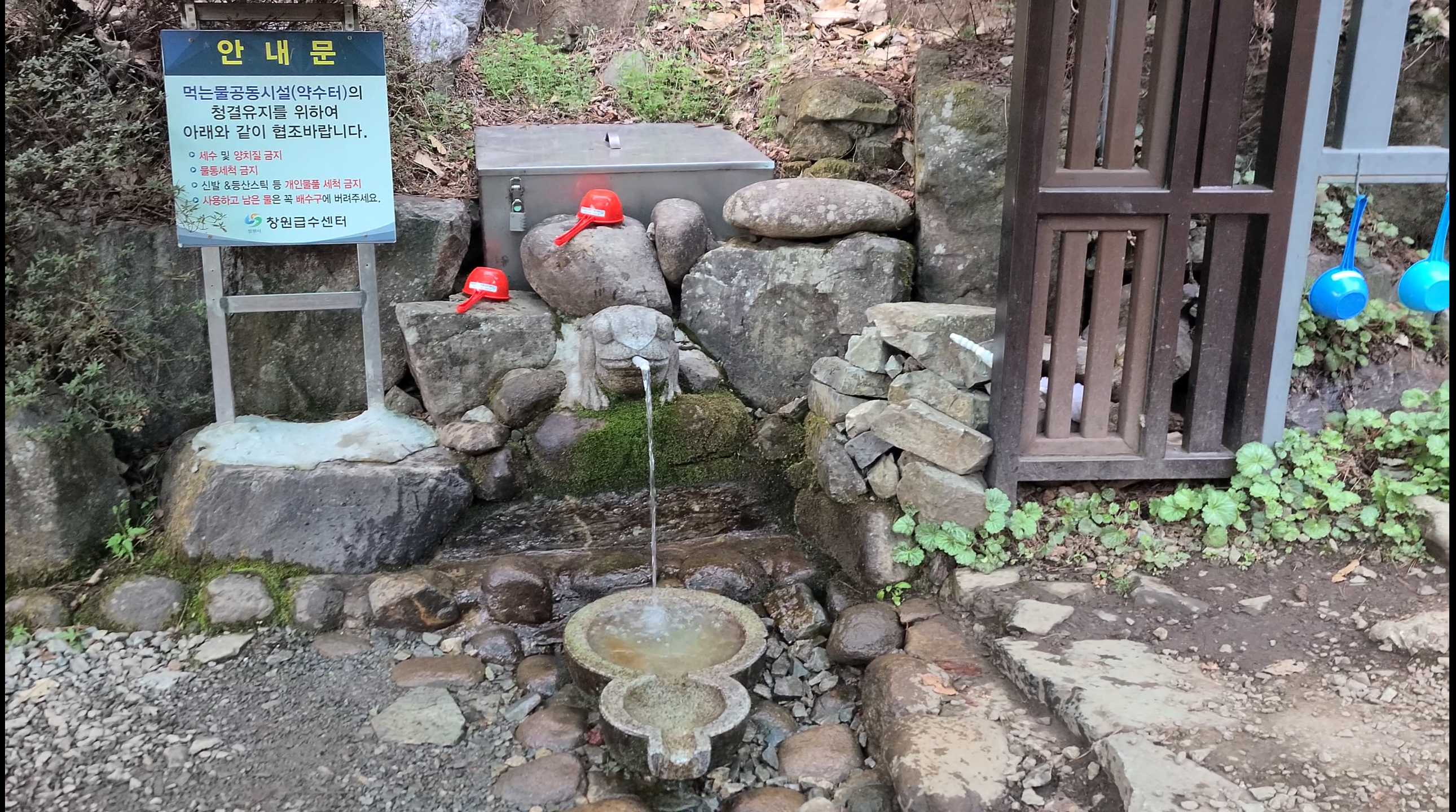 창원 천주산 진달래꽃 축제