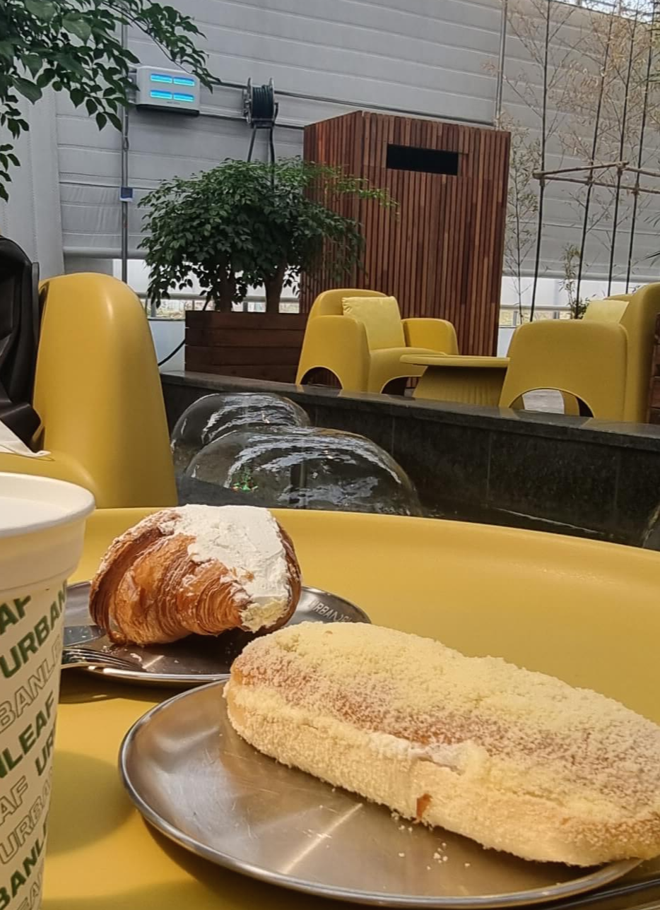 어반리프 온실화원 내부 데이플