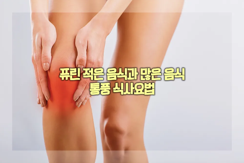 퓨린 적은 음식 많은 음식
