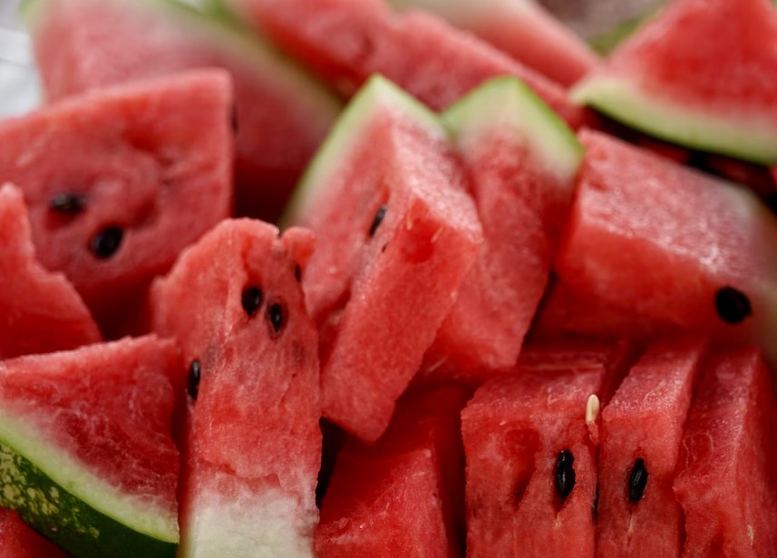 6월 제철 과일 모음