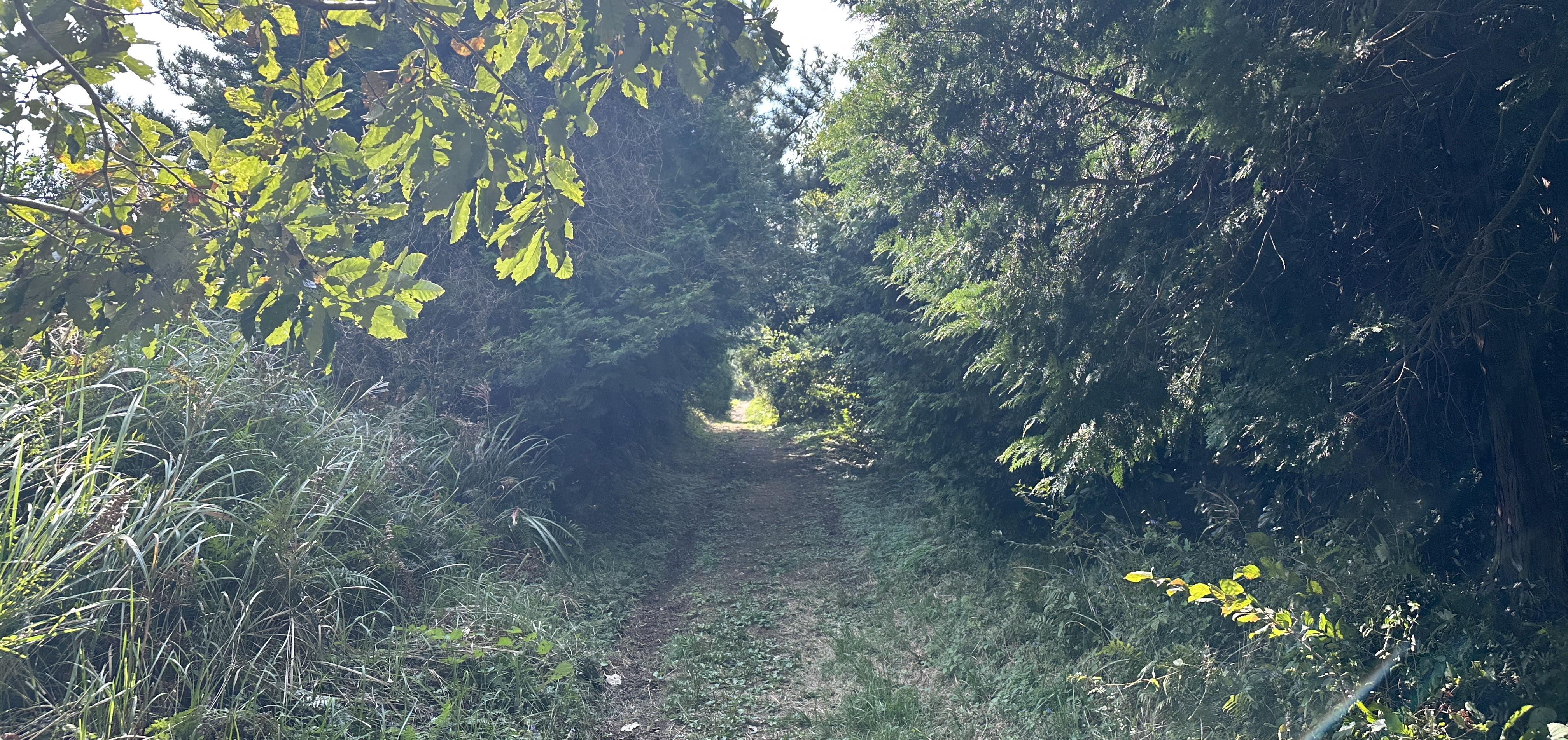 둔지오름 탐방로