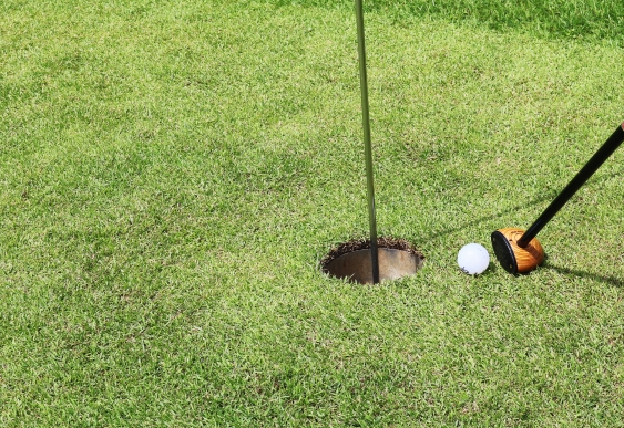 2025년 전국 무료 파크골프장 Best5 추천 가이드