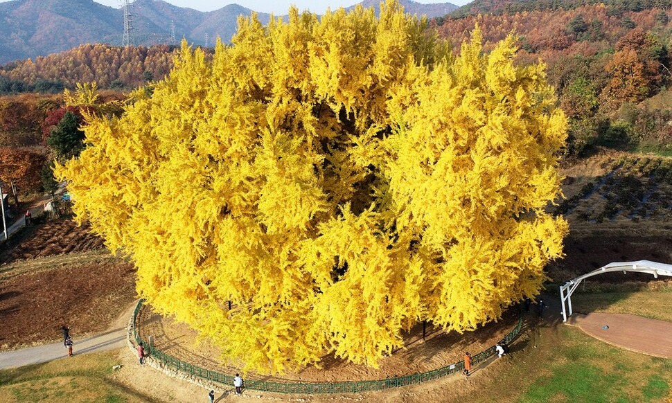 강원도 원주 가볼만한곳 베스트10 — 자연·예술·역사가 한 도시에서 만나는 ‘완성형’ 여행 동선