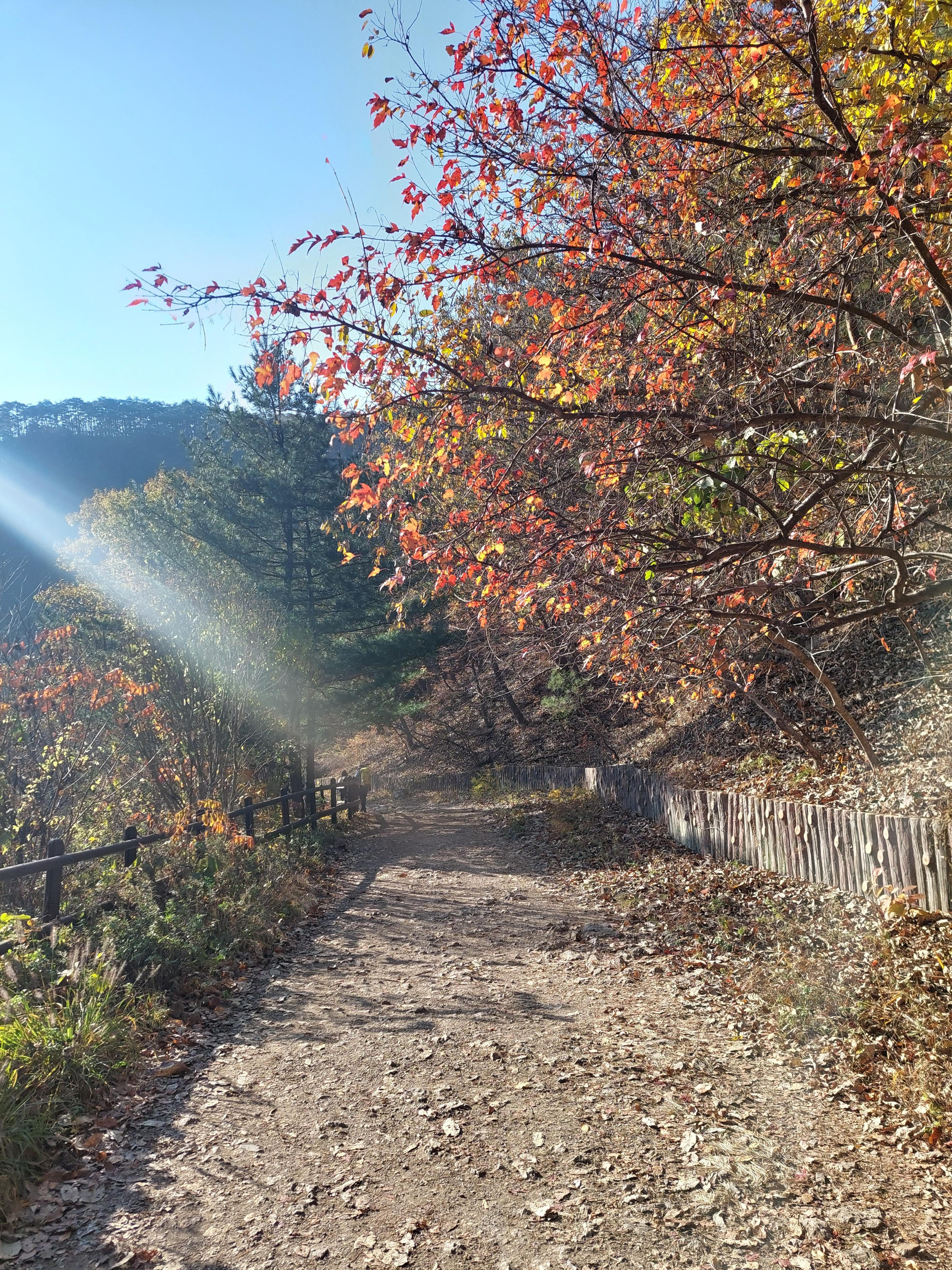 주왕산