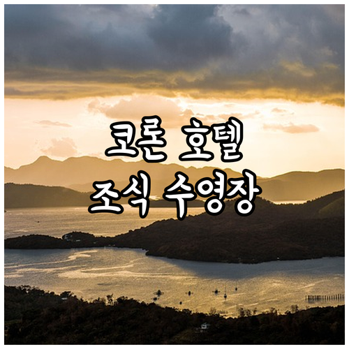 직접 비교한 팔라완 코론 호텔 특징과..