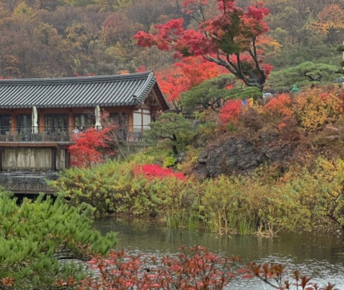 담양 명옥헌