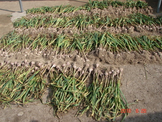 2025년 여름, 가족과 함께 떠나는 전국 농촌 체험마을 BEST 5 관련 사진