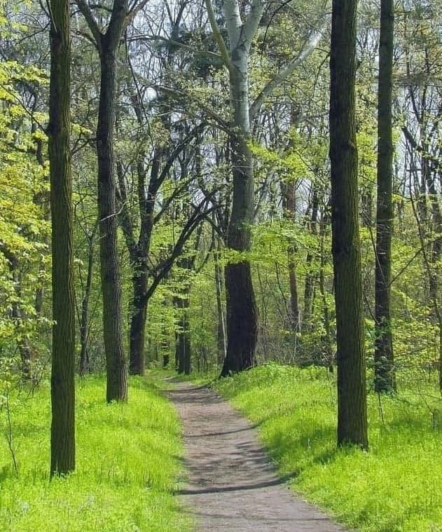 🌳 5월 등산 추천 &ndash; 서울 근교 초보자 산행 코스 TOP 5 (풍경+접근성+힐링 모두 갖춘 곳)