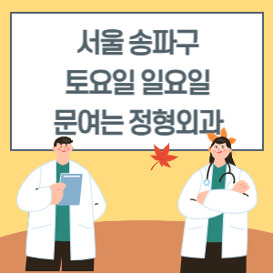 서울 송파구 토요일 일요일 정형외과 진료 병원 리스트