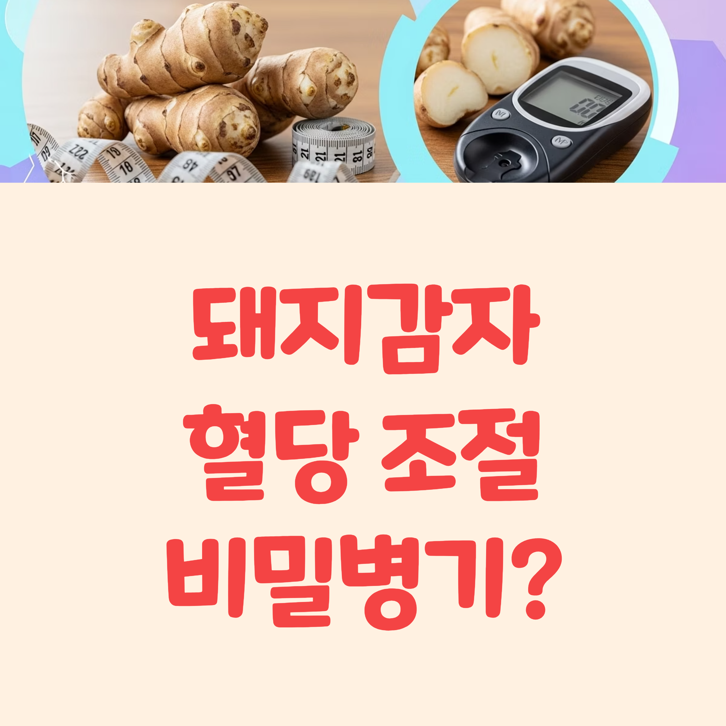돼지감자, 식후 혈당 조절 비밀병기?