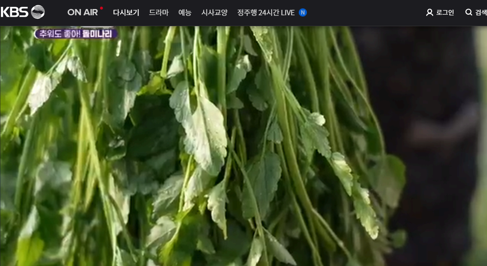 12월 24일 방송된 [ 돌미나리 - 전남 나주 ] 관련 정보입니다 