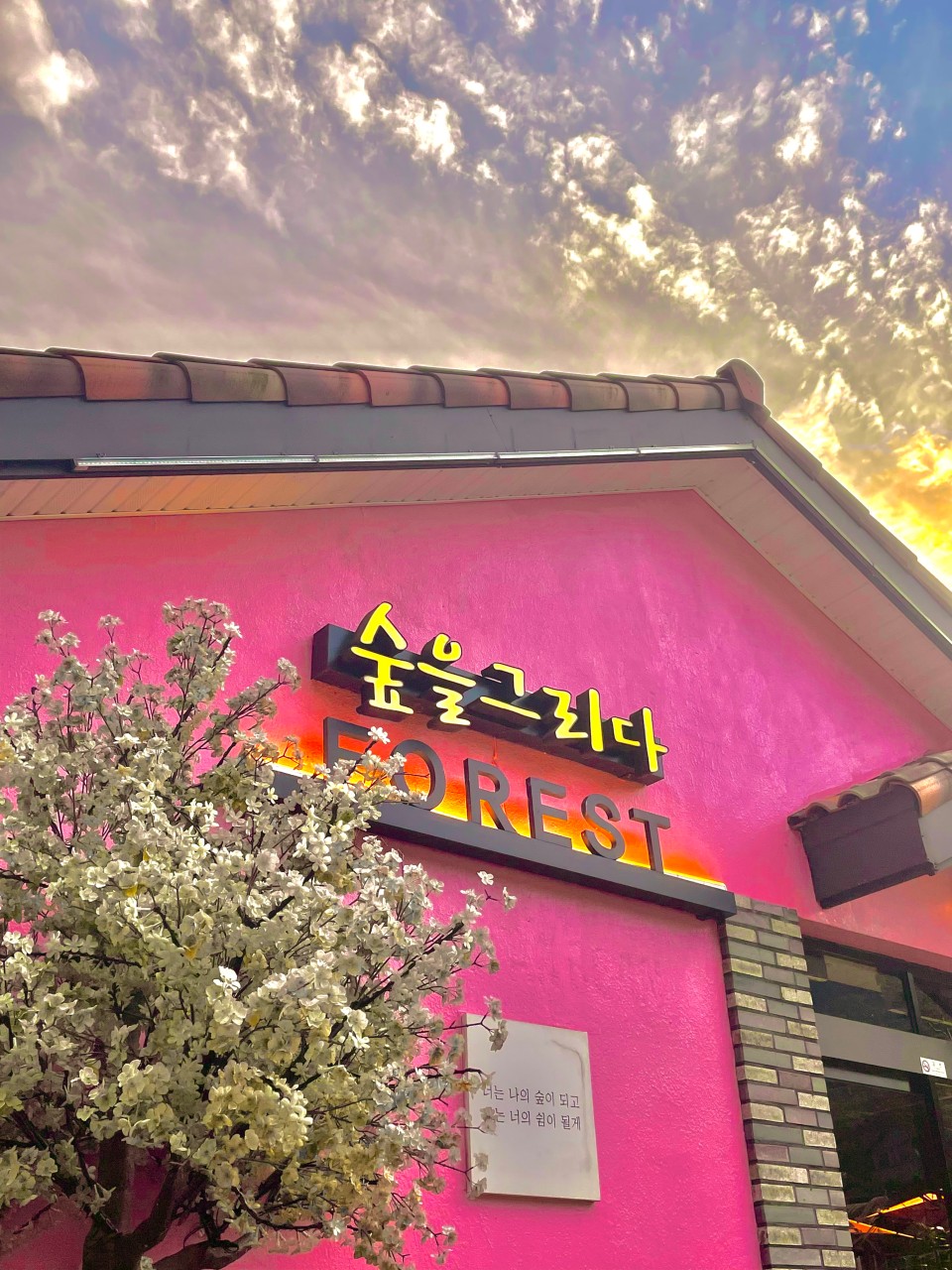 숲을그리다