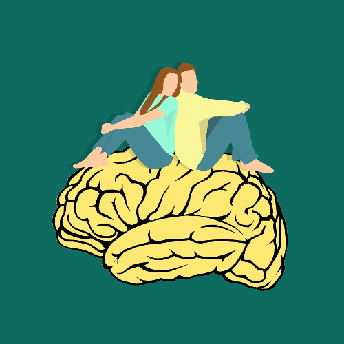 뇌 일러스트 사진