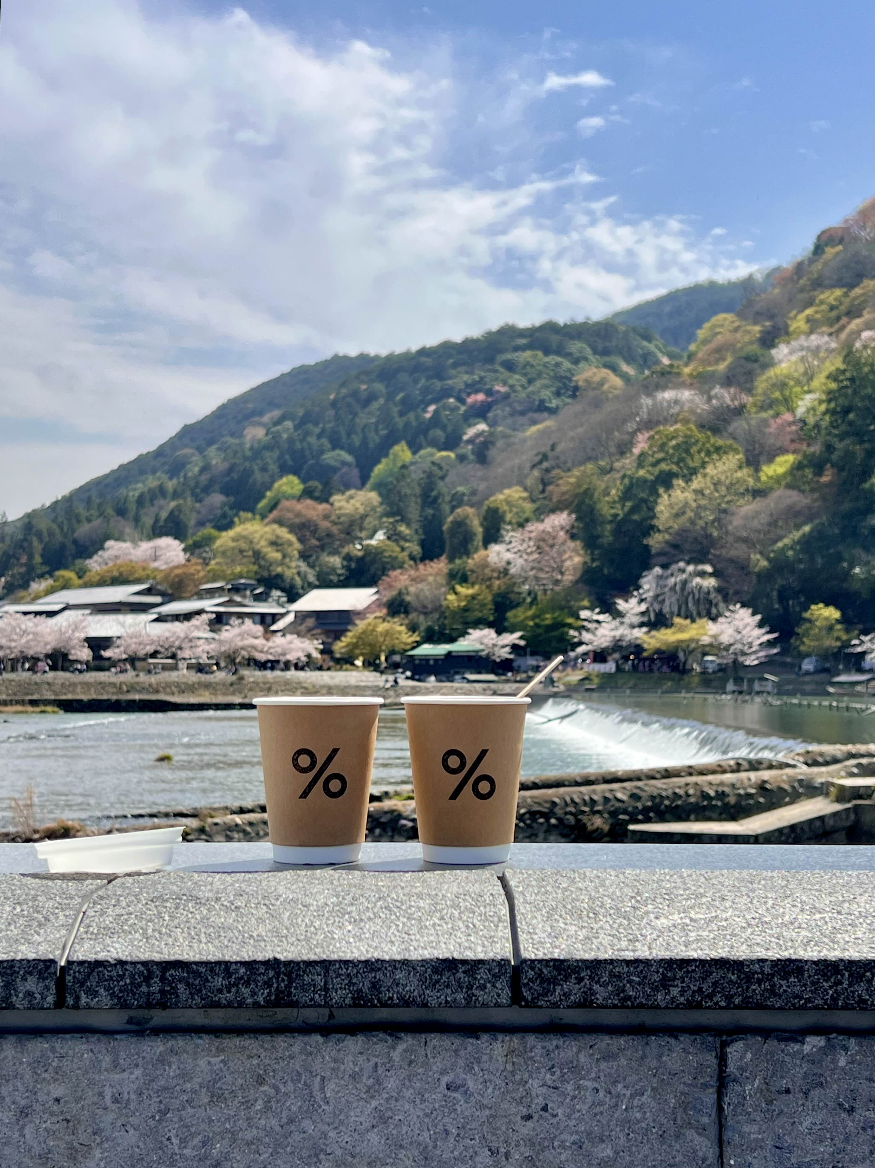 응커피 도게츠교 벚꽃 2023년 교토