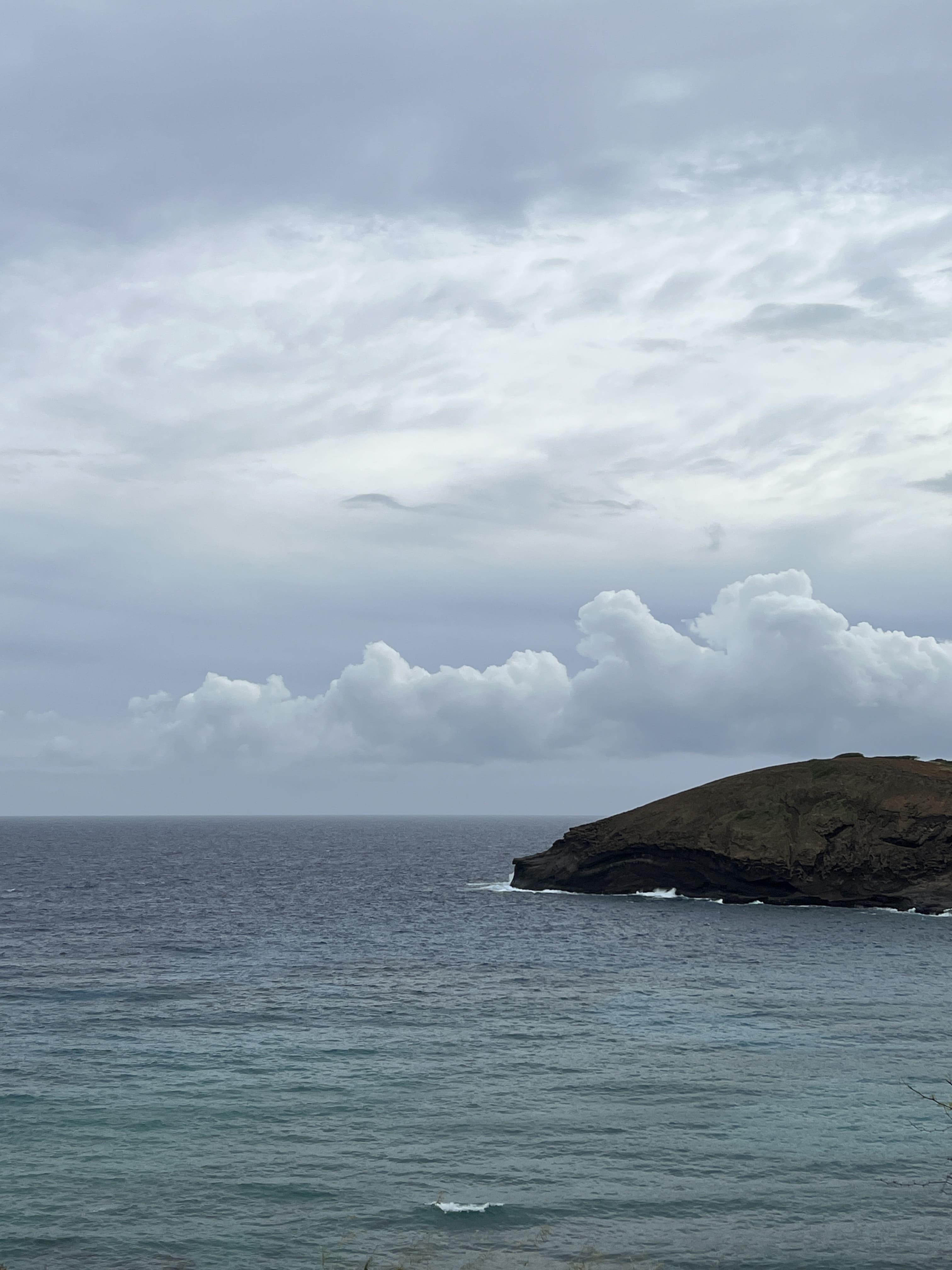 크리스마스-하와이여행-하마우마-베이