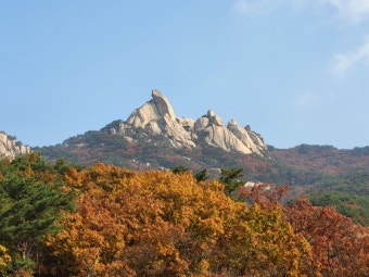서울 북한산 단풍