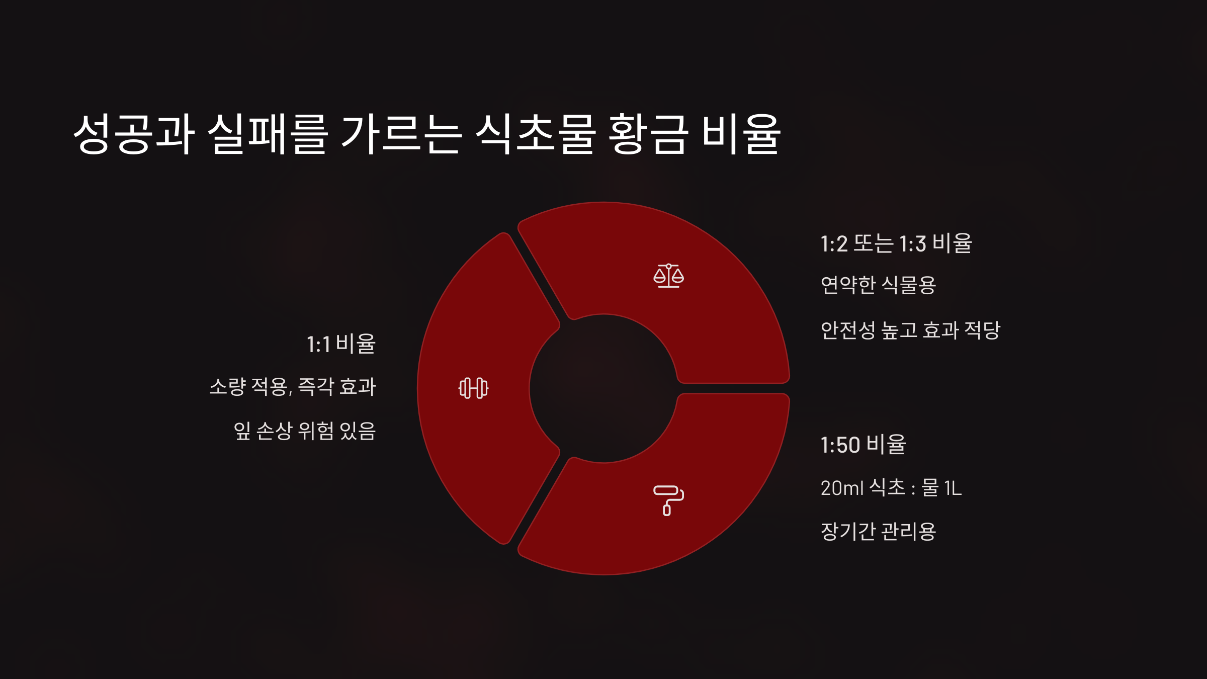성공과 실패를 가르는 '식초물 황금 비율' 대공개! 비율이 전부입니다!