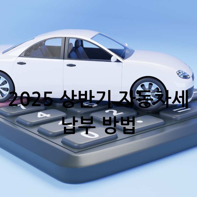 2025 상반기 자동차세 납부 방법