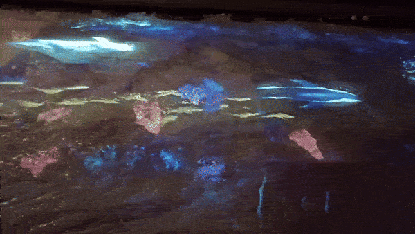 서울-빛초롱-축제-신비의-물결-gif