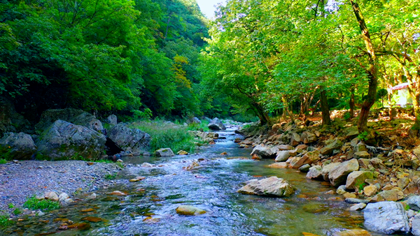 양평 소리산 계곡