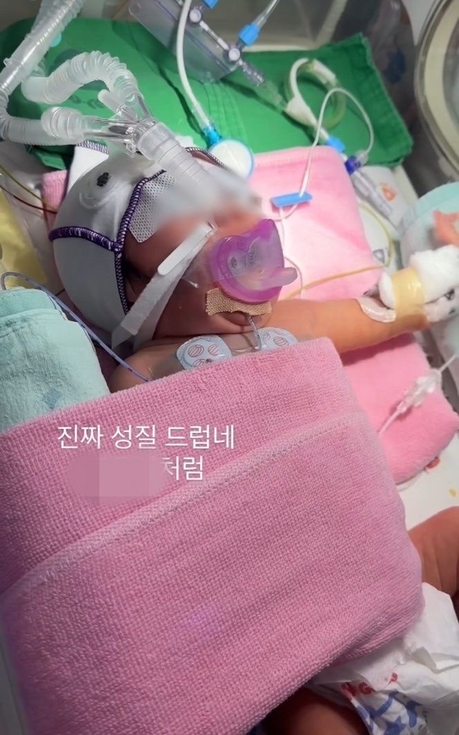 대구가톨릭병원 간호사 미숙아 학대 정황 : 병원명·가해자 정보·SNS 게시글 정리