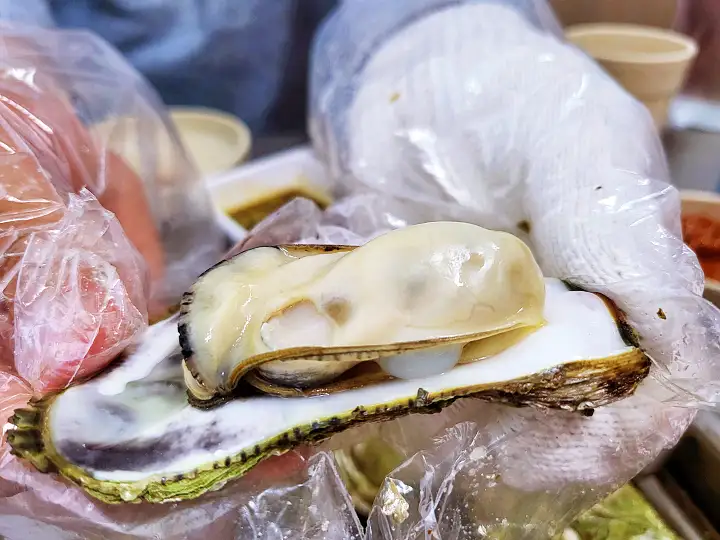 신랑수업 박태환 모태범 정준하 굴무침 굴전 석화찜 굴찜 왕십리 생굴 맛집 추천 오늘방송 정보