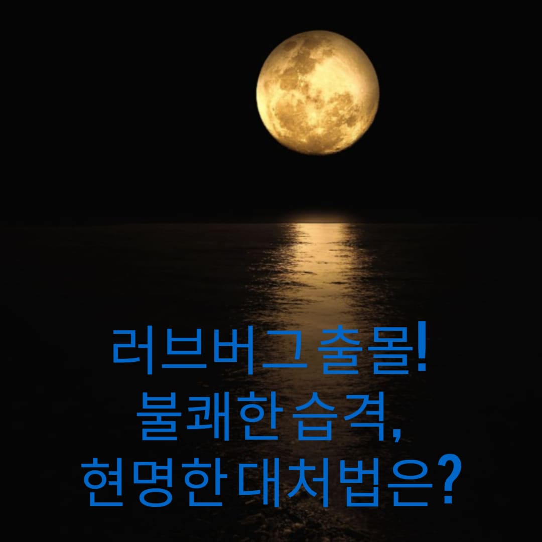 러브버그-출몰-불쾌한-습격-현명한-대처법은-썸네일