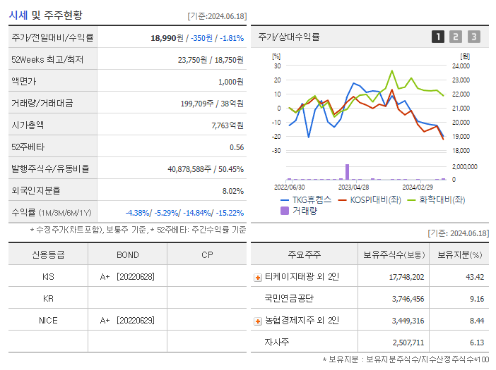 TKG휴켐스_기업개요