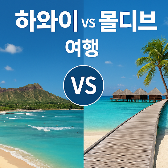 하와이 몰디브 신혼여행 비교