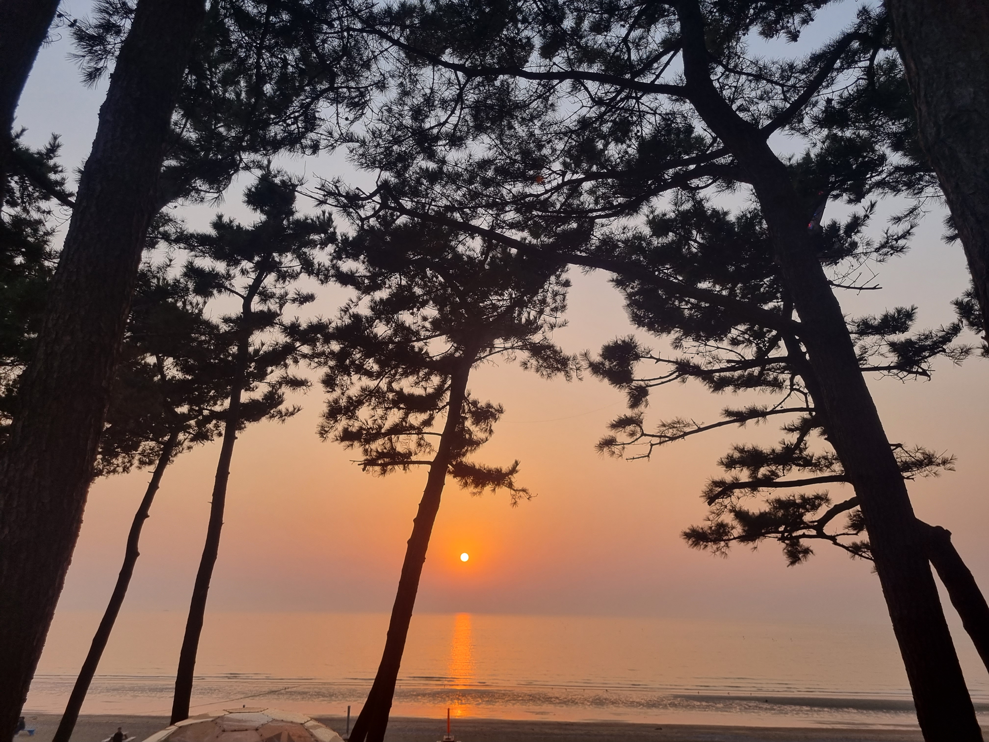 일루글루 안면도