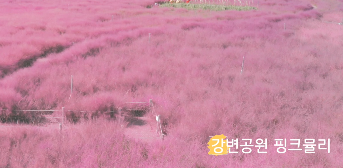 김천으로 떠나는 가을 여행 추천드립니다.