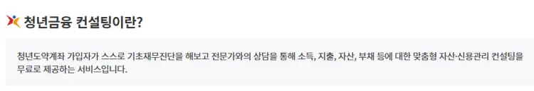 청년금융 컨설팅