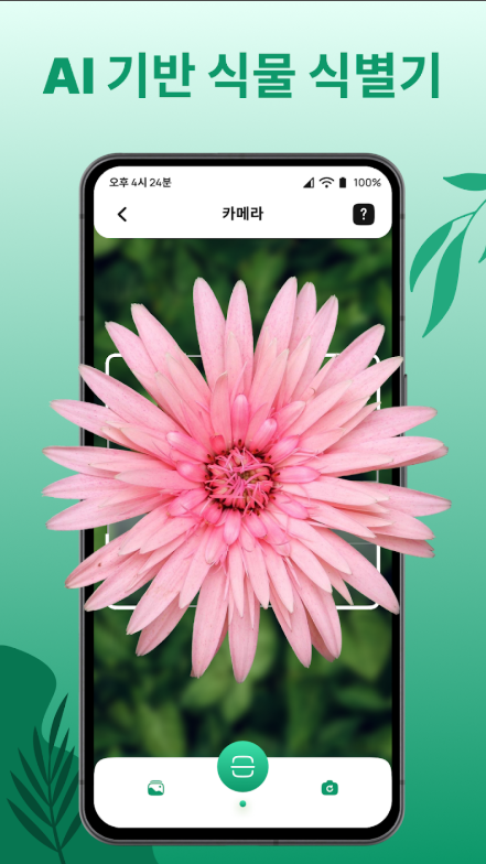 꽃이름 찾기 앱, 사진 이미지로 꽃 찾기