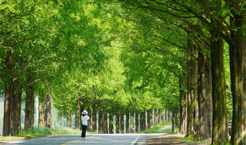 힐링여행 추천장소