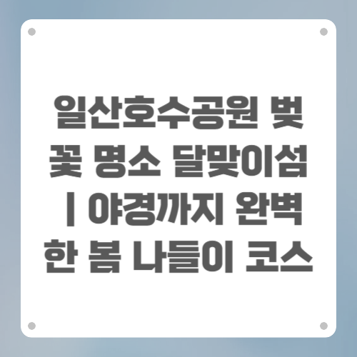 일산호수공원 벚꽃 명소 달맞이섬|야경까지 완벽한 봄 나들이 코스