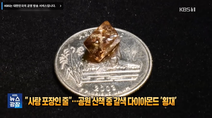 공원에서 발견한 갈색 다이아몬드