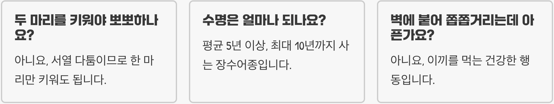 뽀뽀하는 물고기 키싱구라미 키우기 A to Z (어항, 먹이, 합사 총정리)