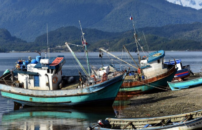 농어촌 기본소득 신청