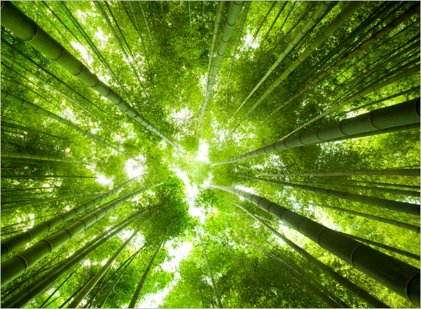 정유사 주가 전망 총정리&amp;#44; 수익의 문을 여는 마지막 핵심 열쇠 3가지