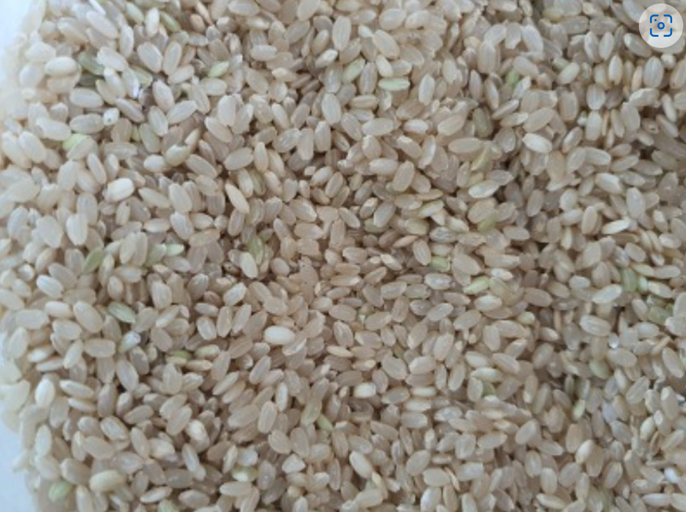 현미와 귀리 같은 통곡물