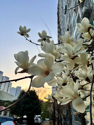 하루를 바꾸는 마음 관리 습관