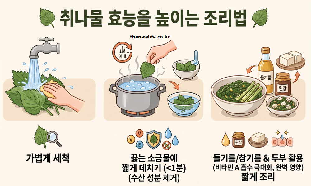 취나물 효능 높이는 조리법