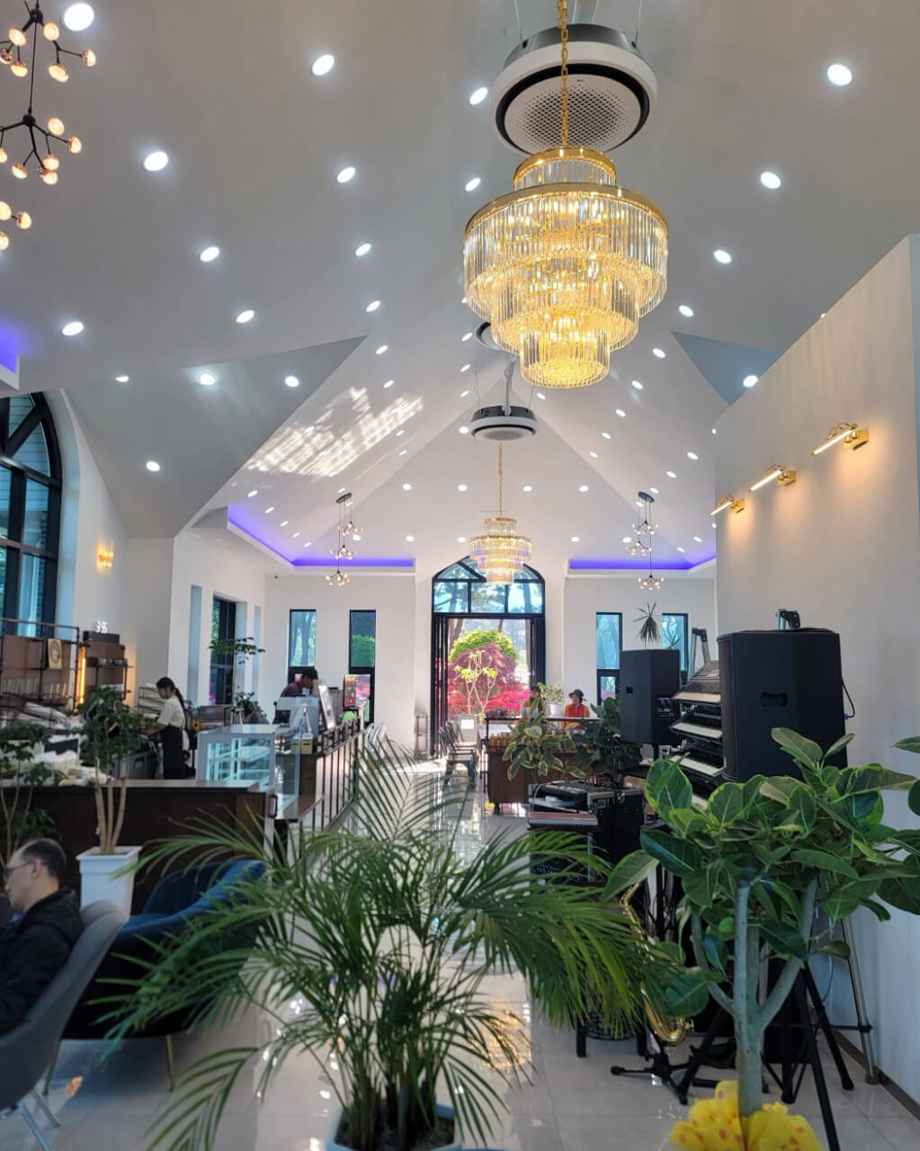 6시 내고향 충남 서산 민간정원 카페 쉼이있는정원