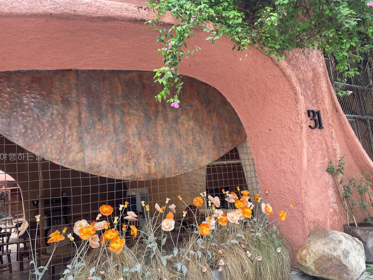 부모님이랑-나트랑-올라카페-포토존-코코넛커피-요거트-솔직후기